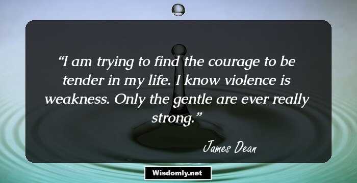 I am trying to find the courage to be tender in my life. I know violence is weakness. Only the gentle are ever really strong.