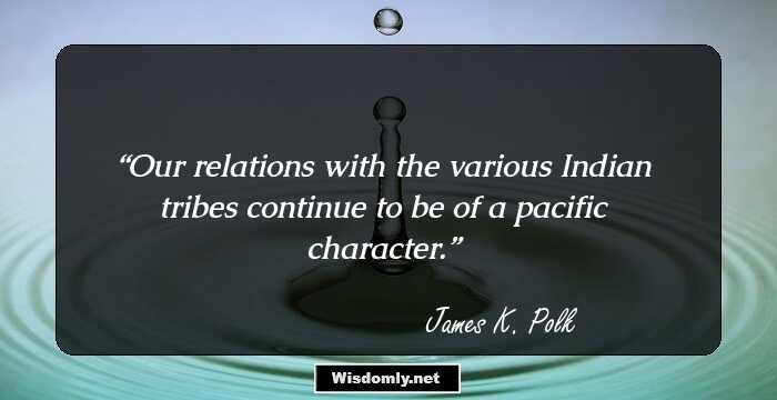 Our relations with the various Indian tribes continue to be of a pacific character.