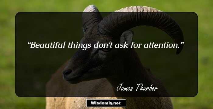 Beautiful things don't ask for attention.