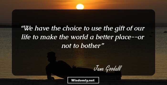 We have the choice to use the gift of our life to make the world a better place--or not to bother