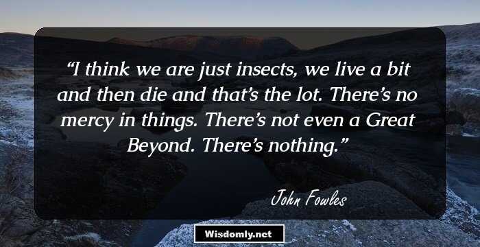 I think we are just insects, we live a bit and then die and that’s the lot. There’s no mercy in things. There’s not even a Great Beyond. There’s nothing.