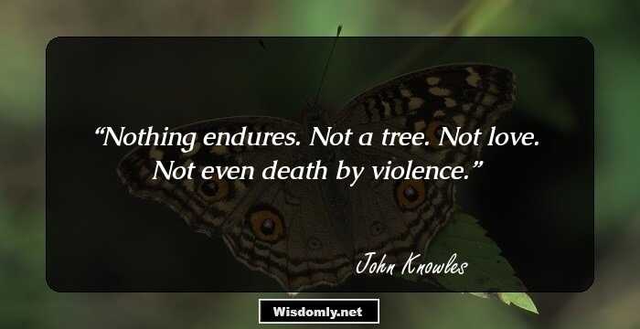 Nothing endures. Not a tree. Not love. Not even death by violence.