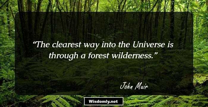 The clearest way into the Universe is through a forest wilderness.