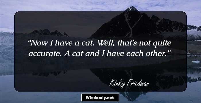 Now I have a cat. Well, that's not quite accurate. A cat and I have each other.