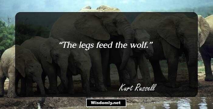 The legs feed the wolf.