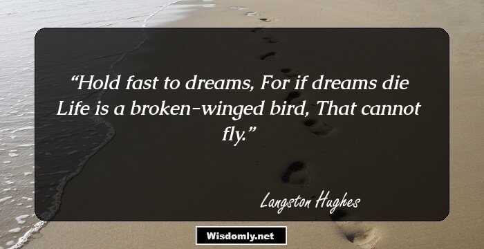 Hold fast to dreams,
For if dreams die
Life is a broken-winged bird,
That cannot fly.