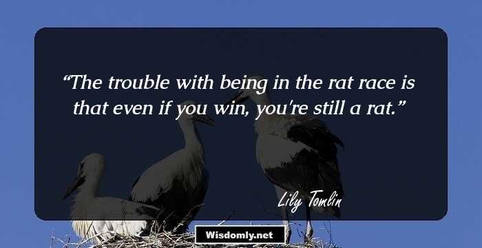 The trouble with being in the rat race is that even if you win, you're still a rat.