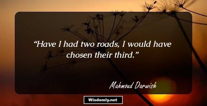 Have I had two roads, I would have chosen their third.