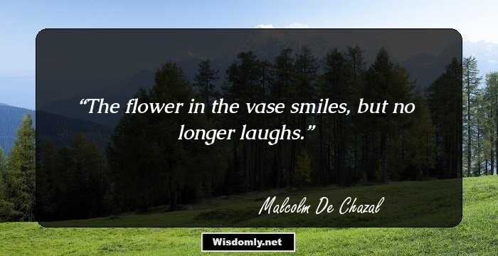 The flower in the vase smiles, but no longer laughs.