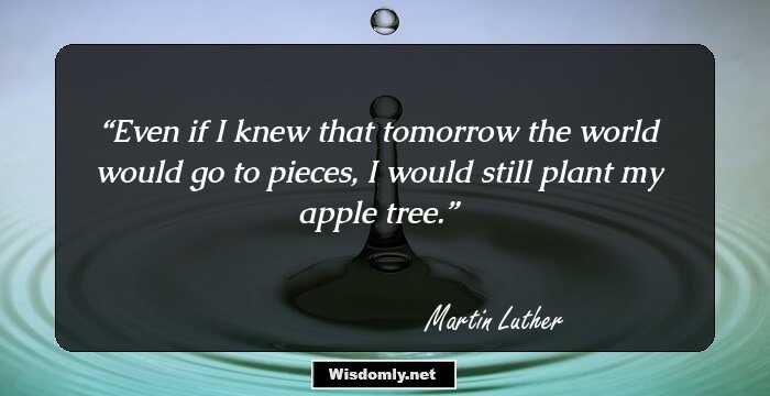 Even if I knew that tomorrow the world would go to pieces, I would still plant my apple tree.