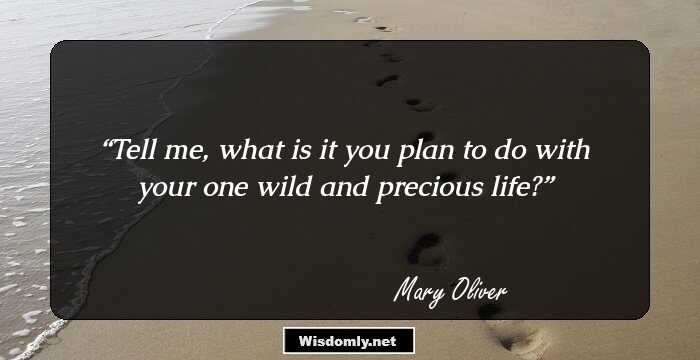 Tell me, what is it you plan to do 
with your one wild and precious life?