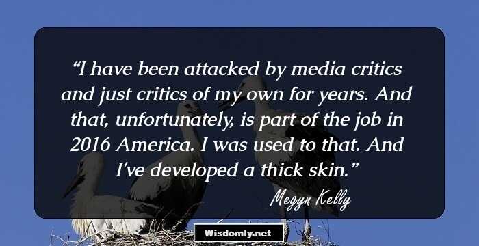 I have been attacked by media critics and just critics of my own for years. And that, unfortunately, is part of the job in 2016 America. I was used to that. And I've developed a thick skin.