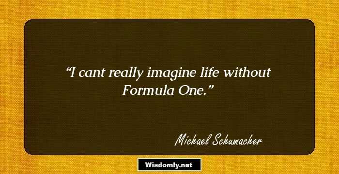 I cant really imagine life without Formula One.