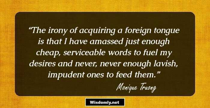 The irony of acquiring a foreign tongue is that I have amassed just enough cheap, serviceable words to fuel my desires and never, never enough lavish, impudent ones to feed them.