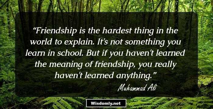 Friendship is the hardest thing in the world to explain. It's not something you learn in school. But if you haven't learned the meaning of friendship, you really haven't learned anything.