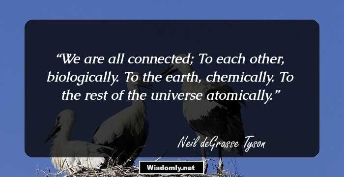 We are all connected; To each other, biologically. To the earth, chemically. To the rest of the universe atomically.