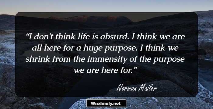 I don't think life is absurd. I think we are all here for a huge purpose. I think we shrink from the immensity of the purpose we are here for.