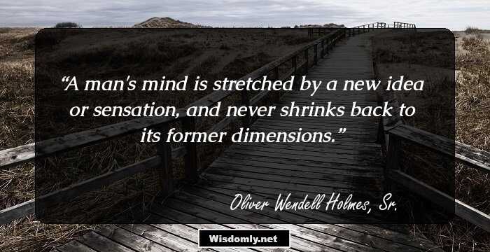 A man's mind is stretched by a new idea or sensation, and never shrinks back to its former dimensions.