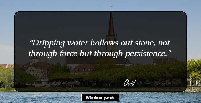 Dripping water hollows out stone, not through force but through persistence.