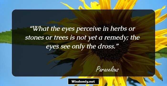 What the eyes perceive in herbs or stones or trees is not yet a remedy; the eyes see only the dross.