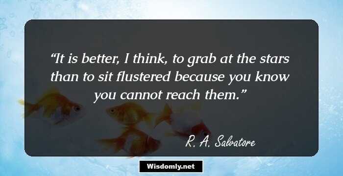 It is better, I think, to grab at the stars than to sit flustered because you know you cannot reach them.