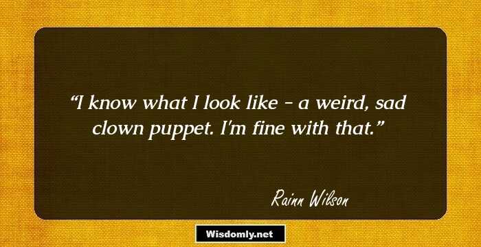 I know what I look like - a weird, sad clown puppet. I'm fine with that.