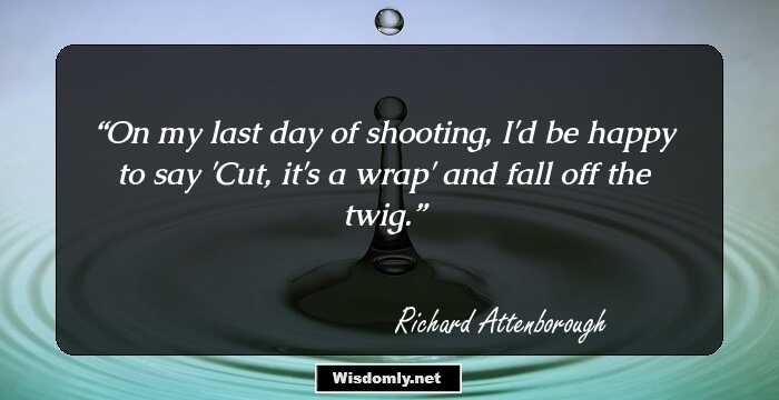 On my last day of shooting, I'd be happy to say 'Cut, it's a wrap' and fall off the twig.