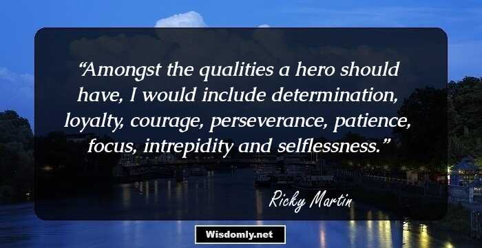 Amongst the qualities a hero should have, I would include determination, loyalty, courage, perseverance, patience, focus, intrepidity and selflessness.