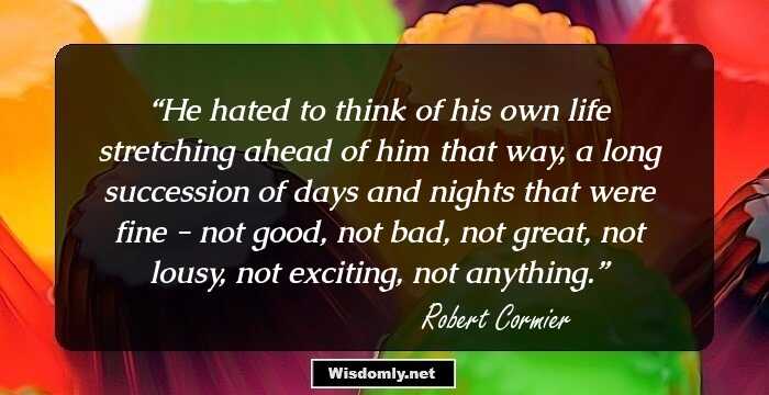 He hated to think of his own life stretching ahead of him that way, a long succession of days and nights that were fine - not good, not bad, not great, not lousy, not exciting, not anything.