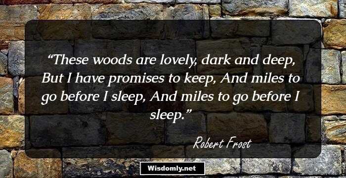 These woods are lovely, dark and deep,
But I have promises to keep,
And miles to go before I sleep,
And miles to go before I sleep.