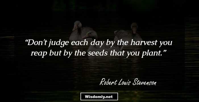 Don't judge each day by the harvest you reap but by the seeds that you plant.