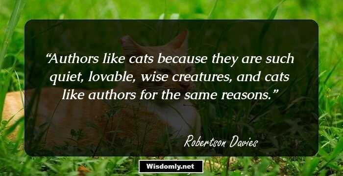 Authors like cats because they are such quiet, lovable, wise creatures, and cats like authors for the same reasons.