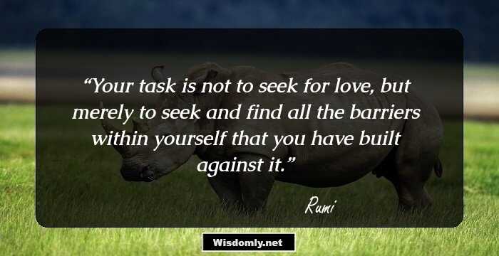 Your task is not to seek for love, but merely to seek and find all the barriers within yourself that you have built against it.