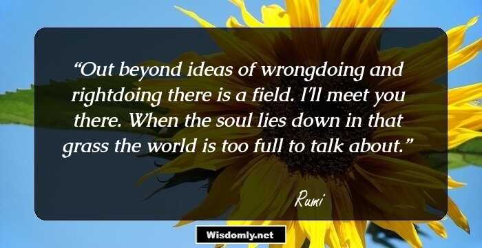 Out beyond ideas of wrongdoing 
and rightdoing there is a field.
I'll meet you there.

When the soul lies down in that grass
the world is too full to talk about.