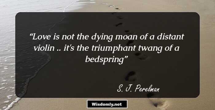 Love is not the dying moan of a distant violin .. it's the triumphant twang of a bedspring