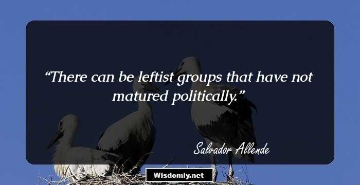 There can be leftist groups that have not matured politically.