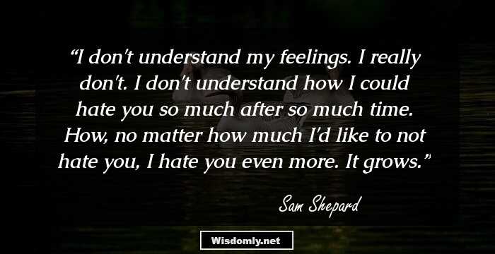 I don't understand my feelings. I really don't. I don't understand how I could hate you so much after so much time. How, no matter how much I'd like to not hate you, I hate you even more. It grows.