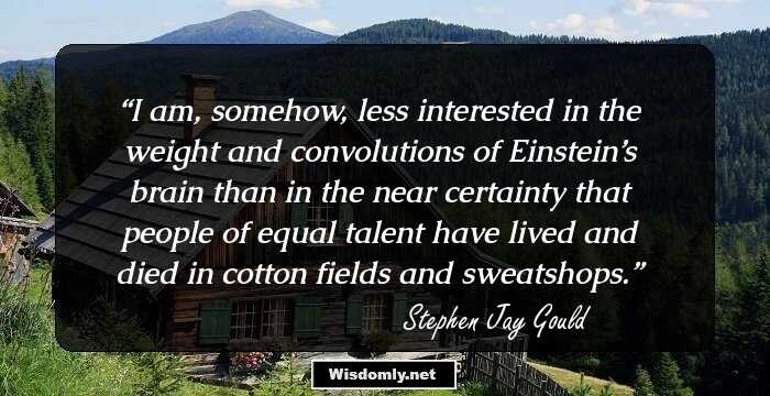 I am, somehow, less interested in the weight and convolutions of Einstein’s brain than in the near certainty that people of equal talent have lived and died in cotton fields and sweatshops.