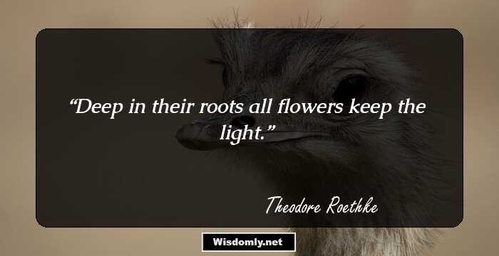 Deep in their roots all flowers keep the light.