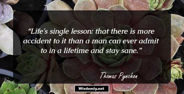 Life's single lesson: that there is more accident to it than a man can ever admit to in a lifetime and stay sane.