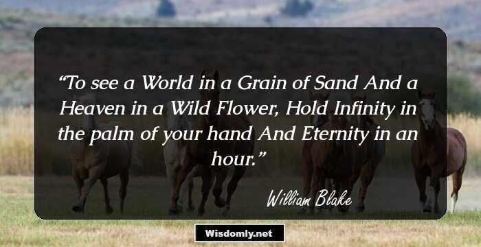 To see a World in a Grain of Sand 
And a Heaven in a Wild Flower, 
Hold Infinity in the palm of your hand 
And Eternity in an hour.