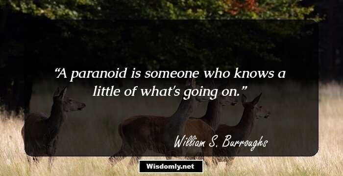 A paranoid is someone who knows a little of what's going on.