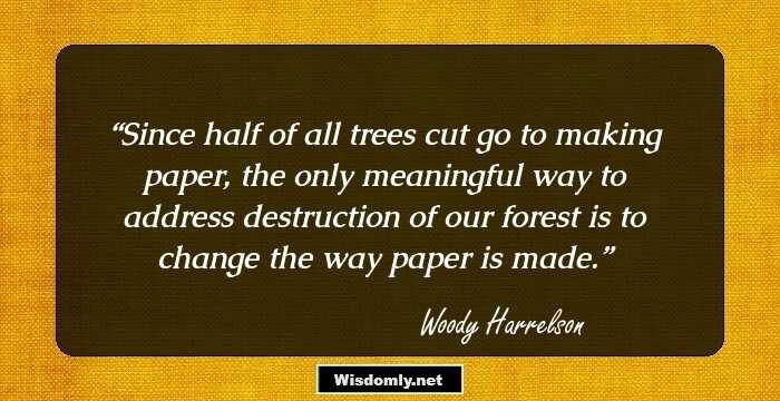 Since half of all trees cut go to making paper, the only meaningful way to address destruction of our forest is to change the way paper is made.